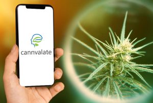 איך לבנות אפליקציה